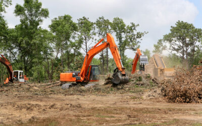 Land Clearing: What You Need To Know Before