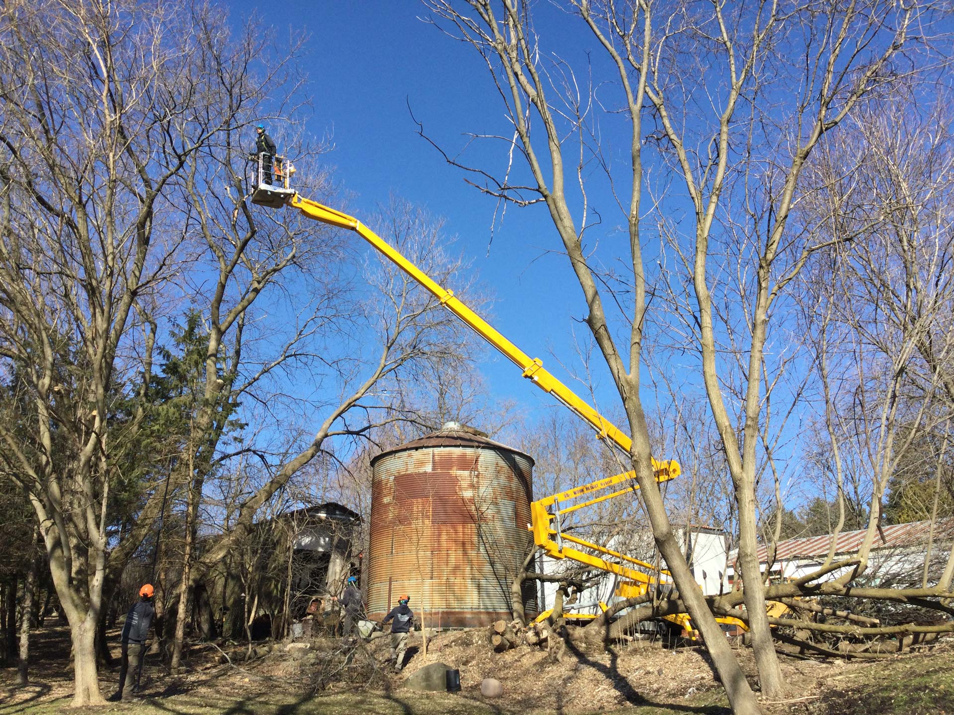 hartland-tree-trimming