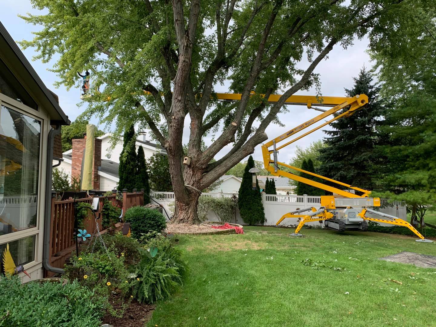 Wisconsin Commercial Tree Service