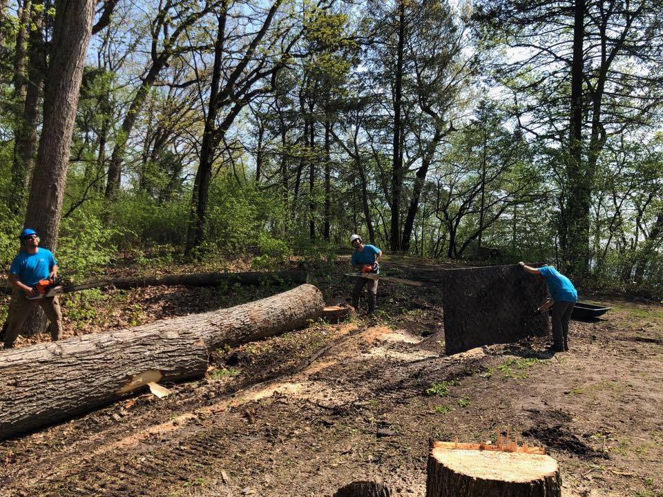 Wisconsin Tree Removal Wisconsin Tree Removal