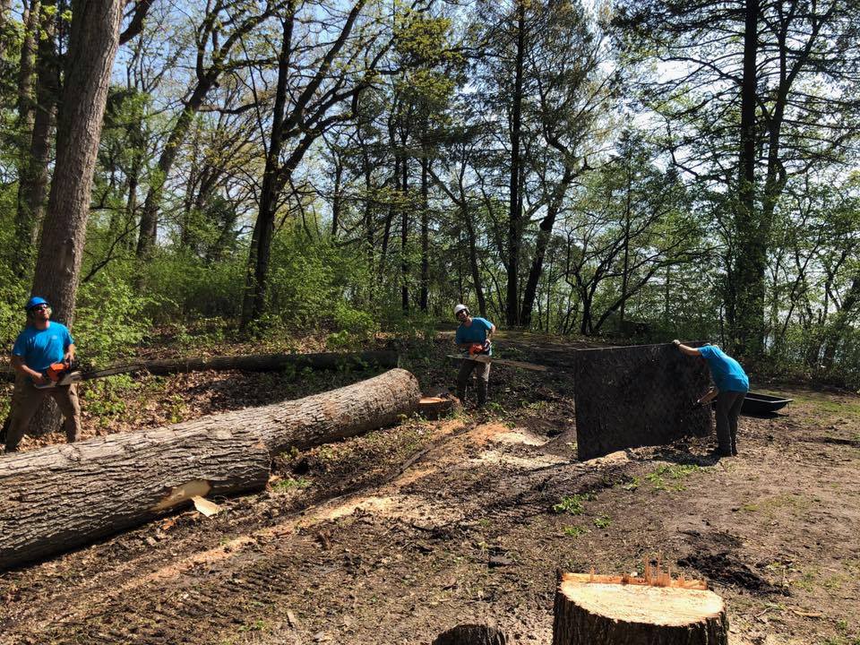 Wisconsin Tree Removal