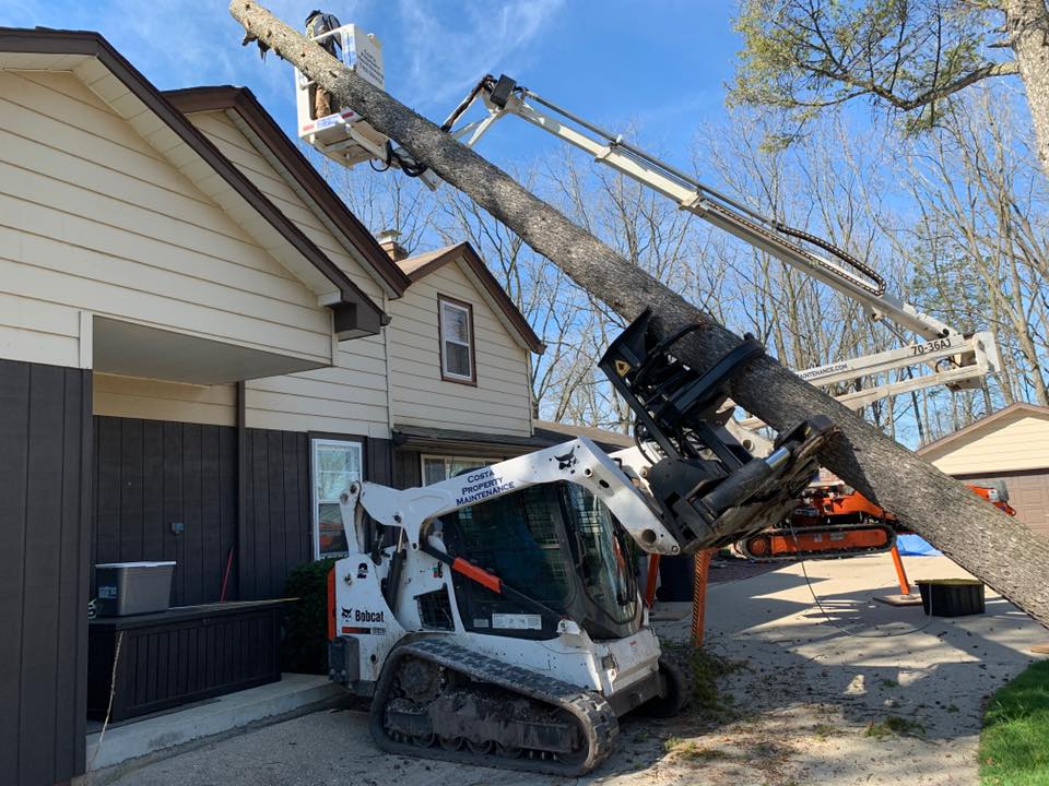 Wisconsin Tree Service Wisconsin Tree Service