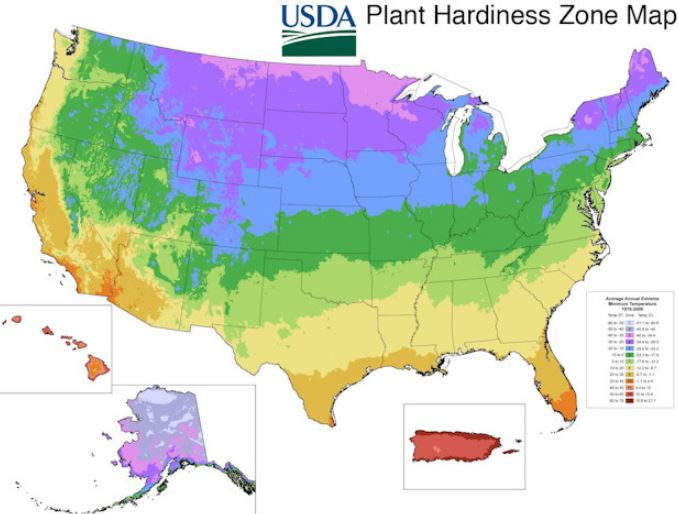 USDA plant hardiness zone